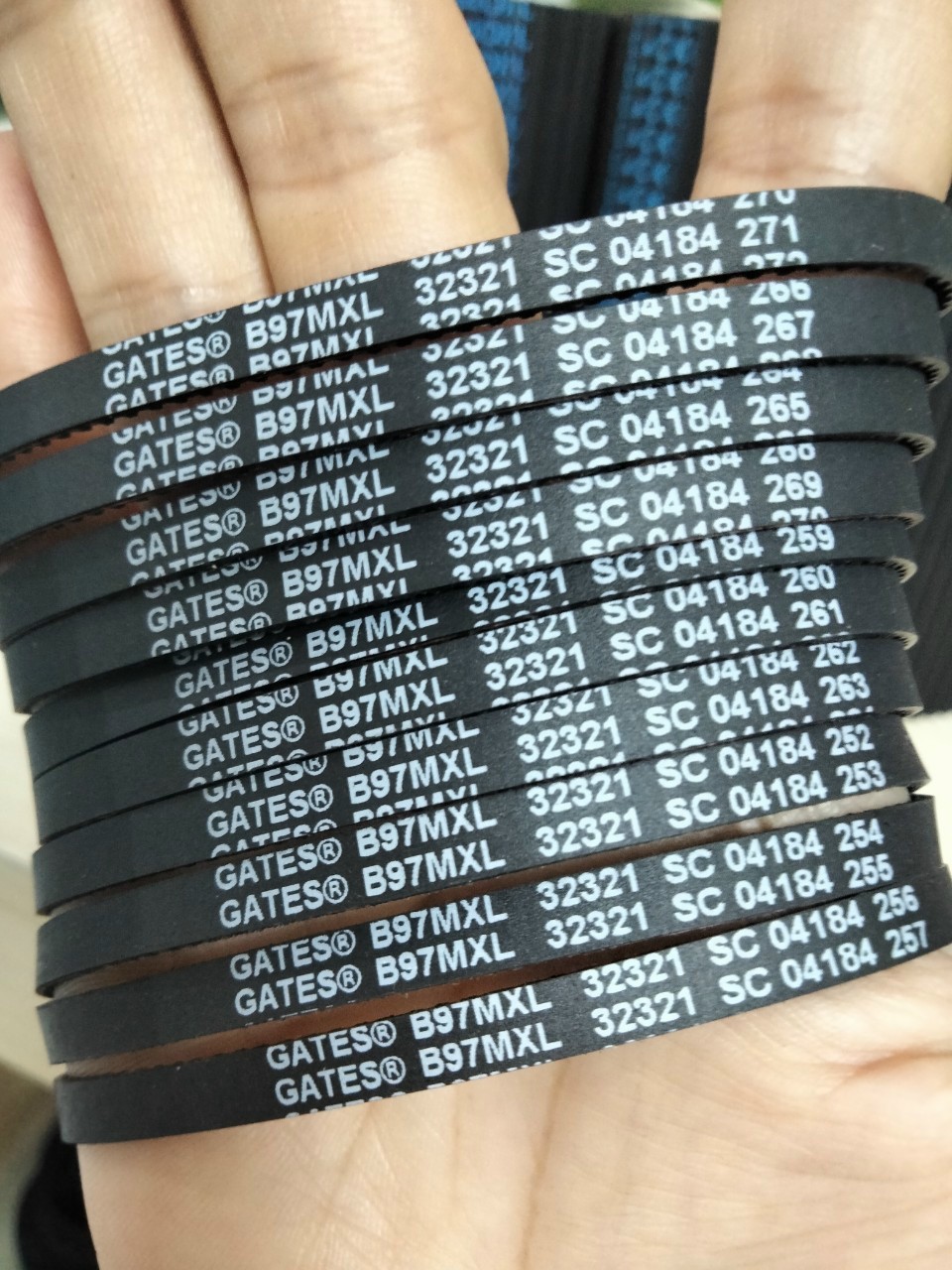 Cung cấp dây Curoa, dây đai băng tải T5,T10, AT5,AT10