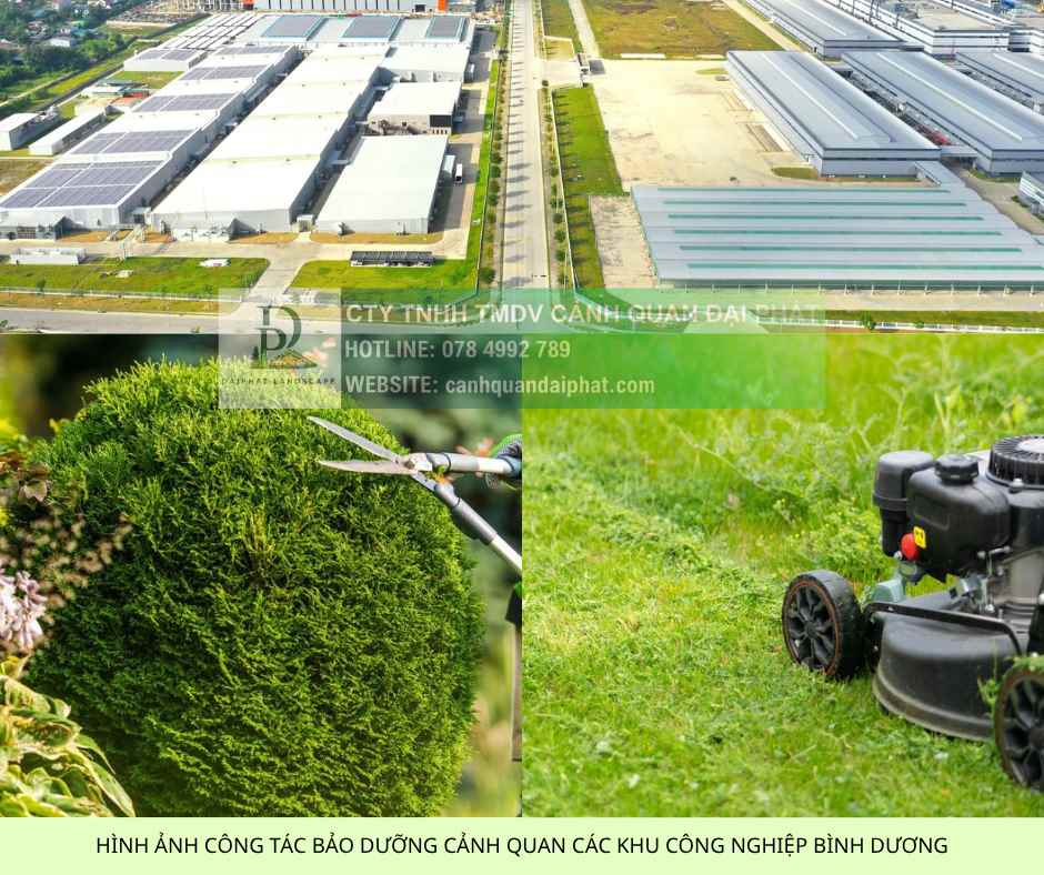 Chăm Sóc Cảnh Quan KCN VSIP 1 Bình Dương Cắt Tỉa An Toàn DPL