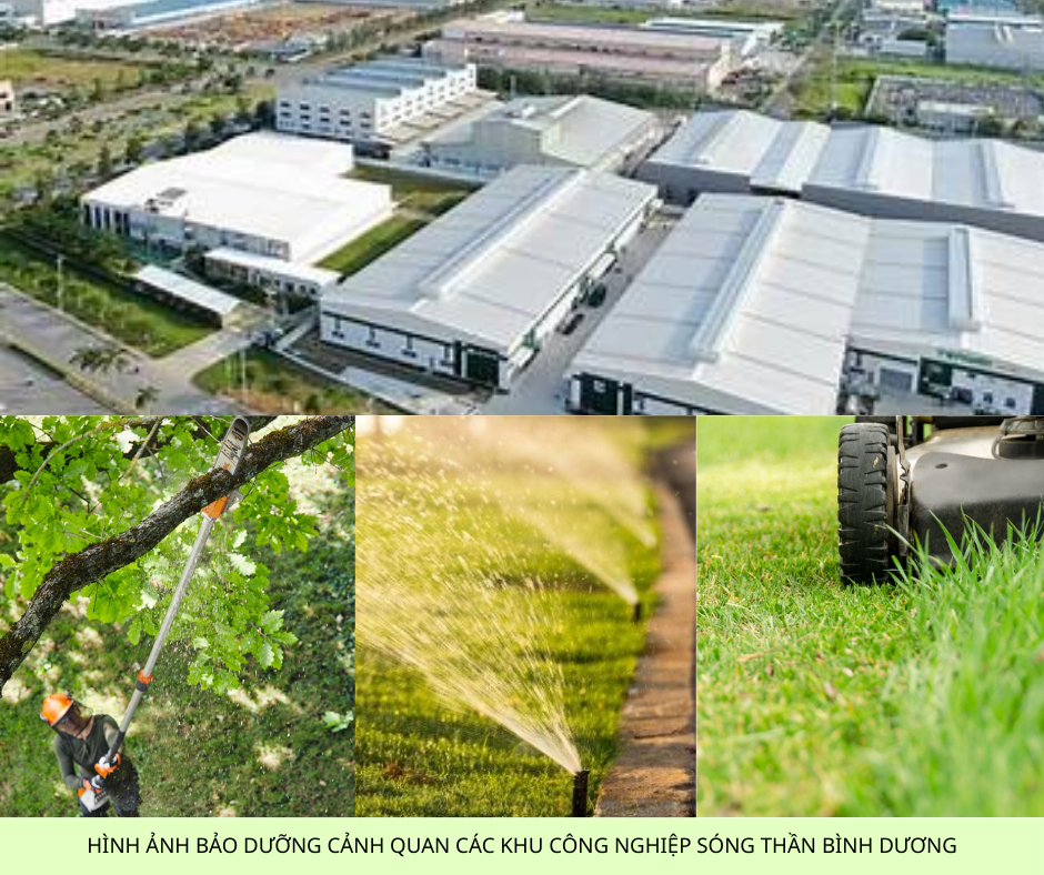 Bảo dưỡng Cảnh Quan Cây Xanh & Vệ Sinh Công Nghiệp Bình Dương
