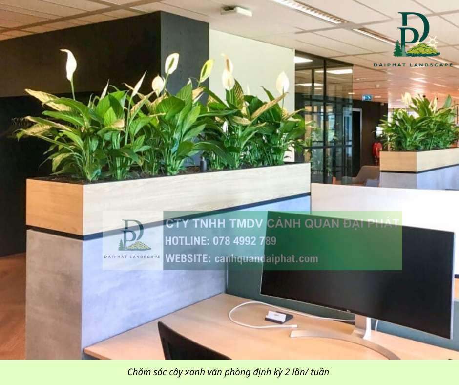 Chăm sóc cây xanh cắt cỏ cắt tỉa cảnh quan định kỳ tại Đồng Nai