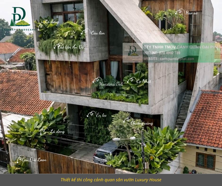 Cung cấp cây xanh & thi công cảnh quan sân vườn – biệt thự