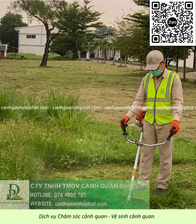 Báo giá chăm sóc cây xanh – cắt cỏ định kỳ KCN Long Đức Đồng Nai