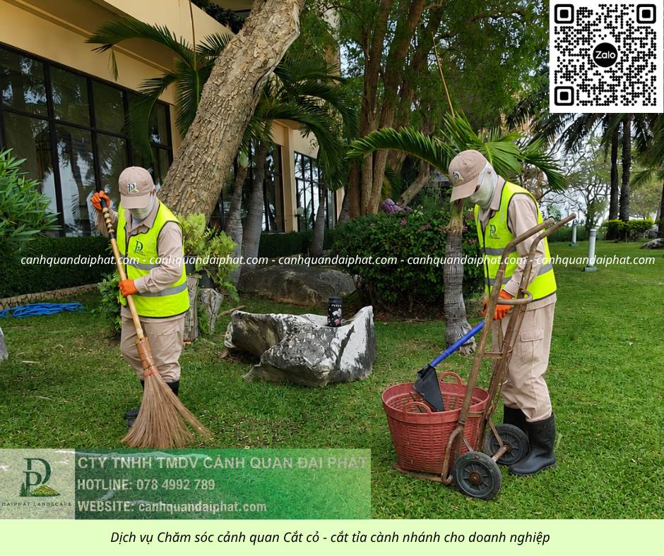 Dịch vụ cắt cỏ – cắt tỉa và chăm sóc cây xanh Long Bình, Đồng Nai