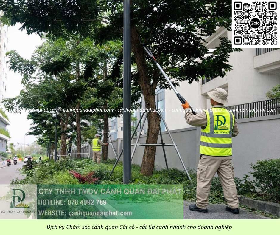 CHĂM SÓC CÂY XANH NHÀ MÁY – DOANH NGHIỆP KCN AMATA BIÊN HÒA