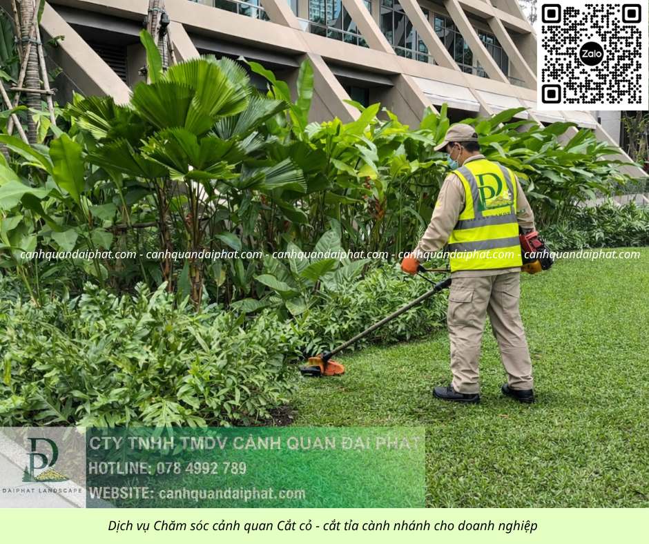 Nhà thầu Chăm sóc cây xanh Nhơn Trạch Đồng Nai