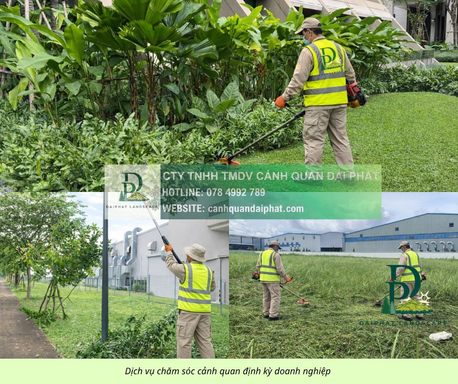 DỊCH VỤ CẮT CỎ - CƯA CÂY TAM PHƯỚC, ĐỒNG NAI